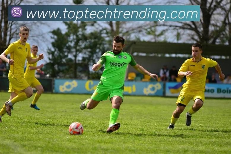 奖项证书